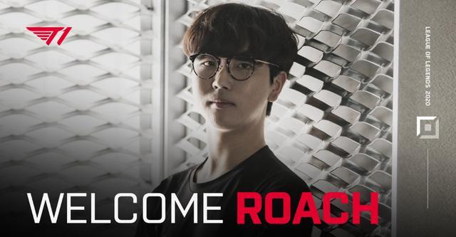 媒体的关注 媒体的关注