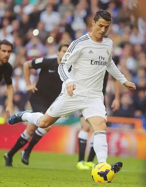 里夫斯创造 里夫斯创造